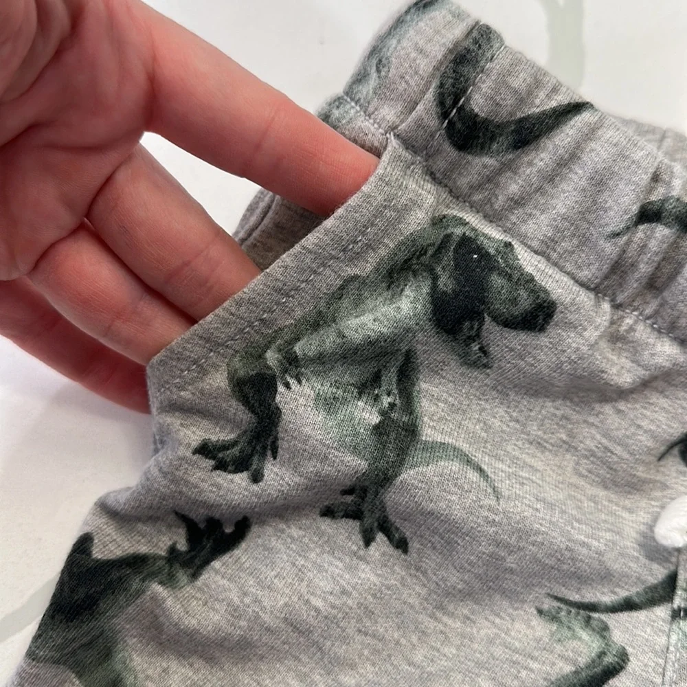 Carter’s gray t-Rex dinosaur jogger sweatpants size 12 months 🦖